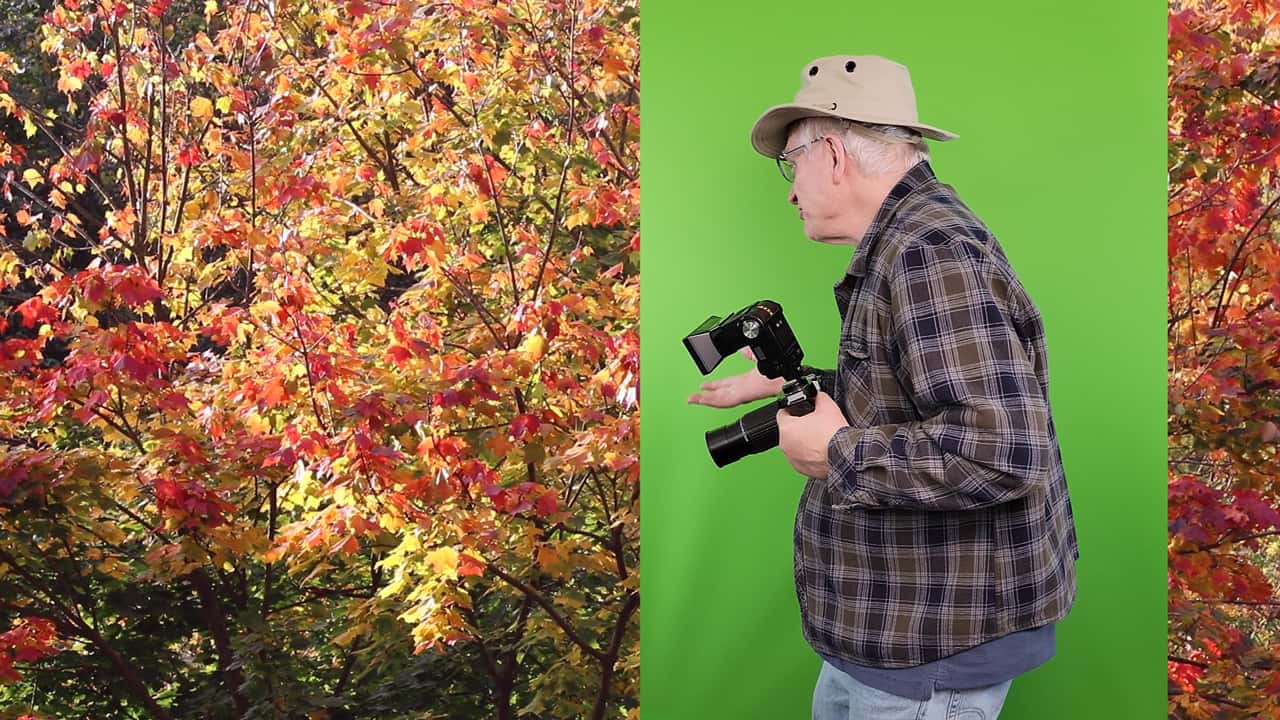 BuhBye1 Gary filming in front of a green screen, with the autumn background only partly keyed in